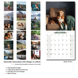 2025-2026 Wall Calendar Nova Scotia Duck Tolling Retriever Planner Calendar, Hangable Monthly Dogs Wall Calendar with Large Blocks for Organizing & Planning, Academic Schedule, Home, Office & family, Thick & Sturdy Paper (12"x24" Open)