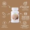 Life180 Mushroom Complex con Melena de León y Cordyceps de