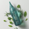 Fresh Ampoule Treatment 350ml / 프레쉬 앰플 트리트먼트 350ml
