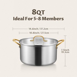 BEZIA 8 Quart Tri-Ply Stainless Steel Pot, Stockpot with Tempered Glass Lid, Exceptional Heat Distribution, Induction Pot, Induction Cooking Pot for All Stoves, Dishwasher Safe, Silver