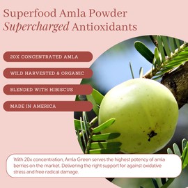 Amla Green Tea Superfood Powder Supplement, Daily Greens Antioxidant Blend with Organic Oolong Tea, 20x Concentrated Amla, Indian Gooseberries, Smooth Flavor, 30 Servings,