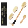 DEBETOOL Dry Brush Set for Body & Face - Dry
