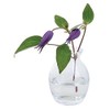 Flower Garden Bloom Vase