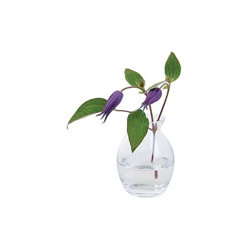 Flower Garden Bloom Vase