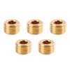 5 PCS 1/2" NPT Brass Plugs for 3/4 Inch Compressed