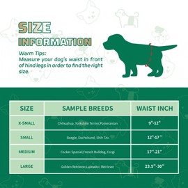 IMMCUTE Dog Diapers Male Small 50 Ct, Male Dog Diapers Disposable with Wetness Indicator, Adjustable Puppy Diapers Male, Flashdry Gel Technology, Male Dog Wraps for Incontinence & Marking