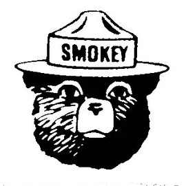 CCI Smokey The Bear Decal Vinyl Sticker|Cars Trucks Vans Walls Laptop| Black |5.5 x 5.25 in|CCI1539