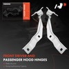 A-Premium Front Driver and Passenger Hood Hinges Compatible with Ford