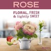 Mrs. Meyer’s Rose Scent Kitchen Basics Set, 3 ct: Dish