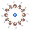 Popular Bath Shower Curtain Hooks, Larrisa Collection, Set of 12,