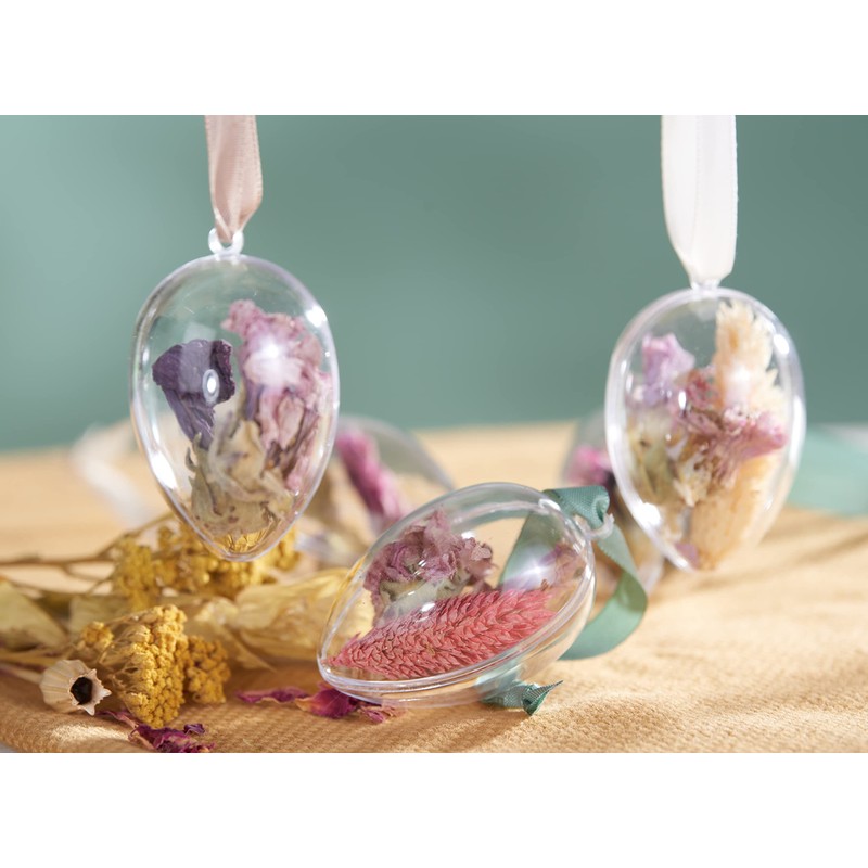 Set of 6 Acrylic Eggs 6 cm Transparent with Hanging