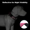 Plutus Pet Tactical Dog Collar with Tracker Pocket for AirTag,