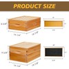 Maybee Hives 100% Beeswax Langstroth Beehive Box With Pine Wooden