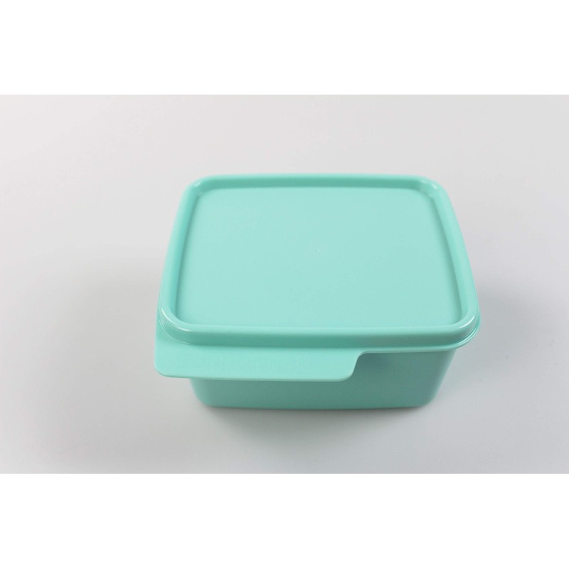 Tupperware Fridge 500 ml Mint Cool Corner Fresh Master Christmas