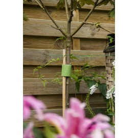 VELCRO 10 1WRAP TREE TIE 5CMX5M