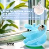 7 Pcs Jumping Spider Habitat Decoration Hermit Crab Supplies for