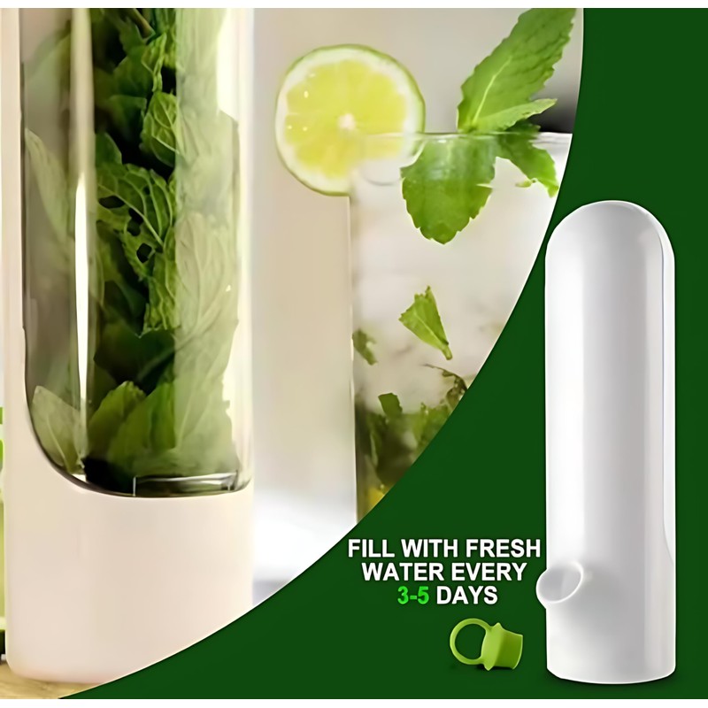 ZPSHYD Herb Keeper - Herb Storage Container and Preservator for