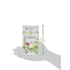 Celebration Herbals CELEBRATION HERBALS Echinacea ANG Herb Tea Organic 24