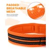 Kaka Mall Adjustable, Breathable, Reflective Nylon Dog Collar
