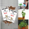 CZ Grain Zombie Bonsai Seeds Packets (2 Pack) - Amazing