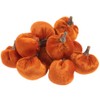 Hobby Lobby Orange Velvet Mini Pumpkins Package of 12 Bowl