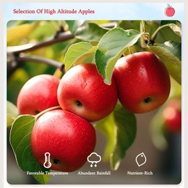 2 PCS Freeze Dried Apple Crisps,Dehydrated Apple Chunks,Dried Fruit No Sugar Added,Leisure Snacks,Baking Materials,Low-Calorie