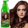 Herbishh - Champú colorante para cabello gris, champú con tinte