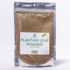 Herb To Body Plantain Leaf Powder – 4oz, Wildcrafted Plantago