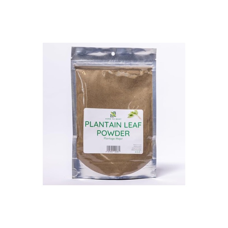 Herb To Body Plantain Leaf Powder – 4oz, Wildcrafted Plantago