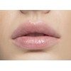 LIQUE Cosmetics Tinted Hydrating Lip Balm, Lightly Scented, Infused with