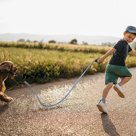 Mile High Life Leather Tailor Handle Reinforced Mountaineering Dog Rope Lead with Robust Metal Clasp (Blue Grey, 120 cm)