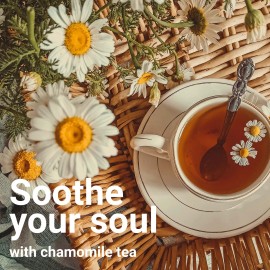 Akshit All Natural  Tea Bags, Herbal Tea, Caffeine Free. - Eucalyptus Teabags