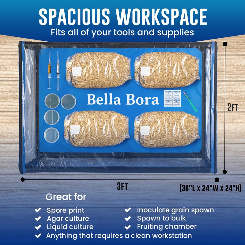 Bella Bora Still Air Box Mycology (Sturdy) Mushroom Grow Box