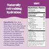 Ultima Replenisher Daily Electrolyte Powder – Grape, 20 Stickpacks –