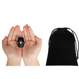 ShengJingRH1990 Small pet urn Pet Memorial Urn for Cat and Dog Ashes Pet Ashes Souvenir with paw Prints Pet Cremation Commemorative urn (Black Wings)