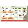 TickCheck Tick Remover Spoon - 3 Pack of Lightweight Tick