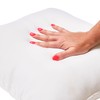 Creative Co-Op 20" x 20" Duck Feather Pillow Insert, 20"