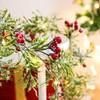 LED String Lights 2 Meters 20 LEDs Fairy Lights Battery