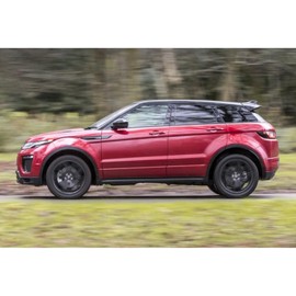 Ramor Strutz 2x Boot Gas Struts Compatible with a Range Rover Evoque L538 2011-2018. Tailgate Gas Springs Replacement for LR025379 and others.