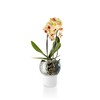 Eva Solo | Orchid Pot | Ø15cm Self-Watering Orchid Pot