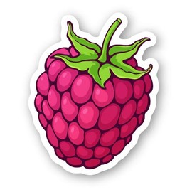 Squiddy Raspberry Cute Cartoon Berry - Vinyl Sticker Decal for Phone, Laptop, Water Bottle (3" Tall)