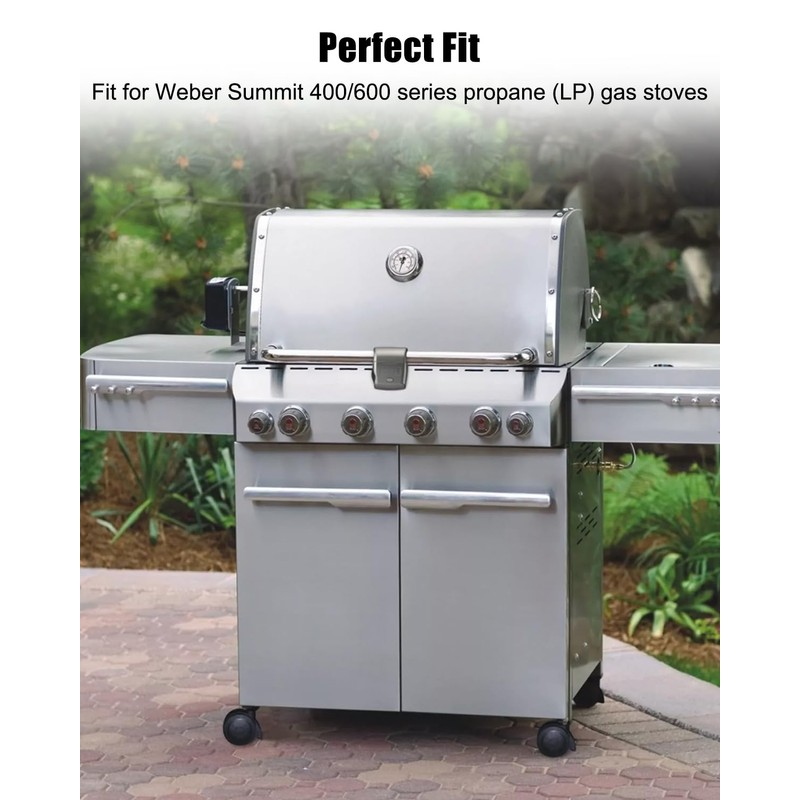 Manifold Main Burner Control Valve Assembly with Igniter Fit for