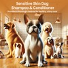 Dog Shampoo and Conditioner Set for Allergies, Itching & Daily