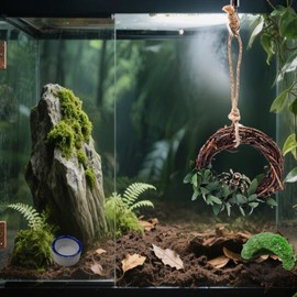 Set of 4 Jumping Spider Enclosure Accessories Jumping Spider Accessories Enclosure Habitat Decor 2 Water Bowl 1 Rattan Swing 1 Little Green Hide