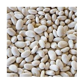 DRY White (Navy) beans (2)