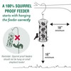 Perky-Pet SBG101 Squirrel Off Max Pinecone Bird Feeder with Flexports
