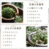 コボル 松葉青汁 100%よもぎと松葉の毎日習慣 200g 1袋 粉末【1日分の最大摂取量を摂れる黄金比率】 国産 徳島県産の赤松松葉 新潟県産のよもぎ