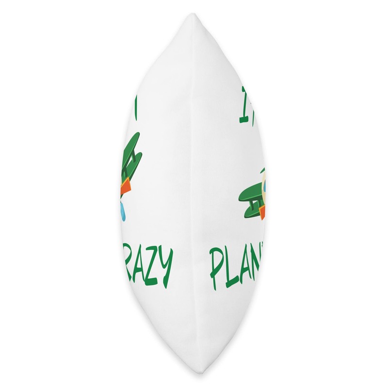 I’m Just Plane Crazy for kids who love toy planes