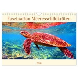 Fascination Sea Turtles (Wall Calendar 2026 DIN A4 Landscape), CALVENDO Monthly Calendar: Encounters with Sea Turtles Make Every Heart Beat Faster (CALVENDO Animals)