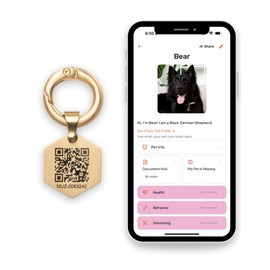 Tailr Classic QR Pet ID Tag, Small Gold-Plated, Military-Grade Steel, for Pets Over 25 lbs (Large), Includes Free Pet Management App